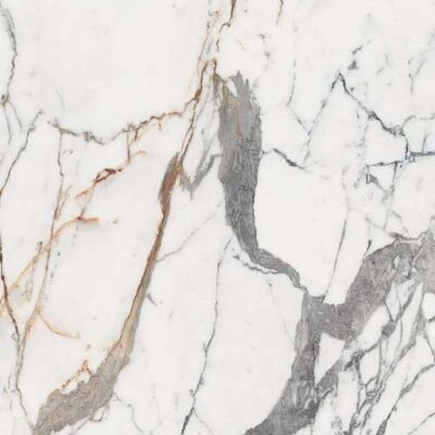 ORIGINES DE REX OR GLOSSY 6MM 120X120 R