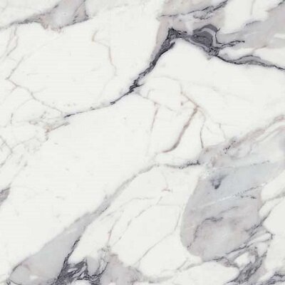 ORIGINES DE REX ARGENT MATTE 6MM 120X120 R