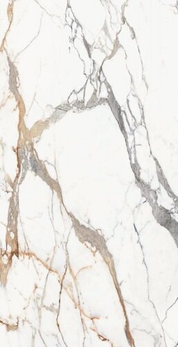 ORIGINES DE REX OR GLOSSY 6MM 120X240 R