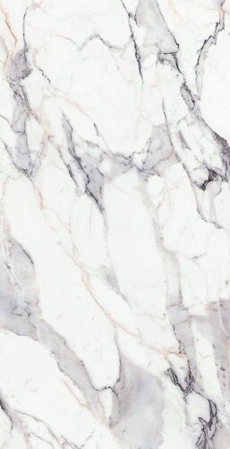 ORIGINES DE REX ARGENT MATTE 6MM 120X280 R