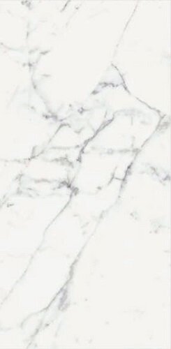ORIGINES DE REX BLANC GLOSSY 6MM 60X120 R