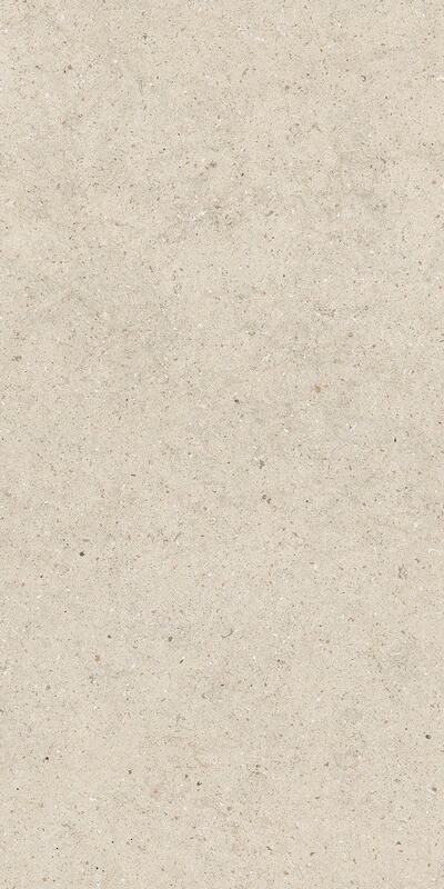 FORUM STONE PURE 60X120