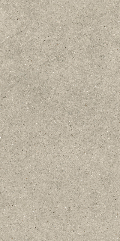 FORUM STONE DESERT 60X120