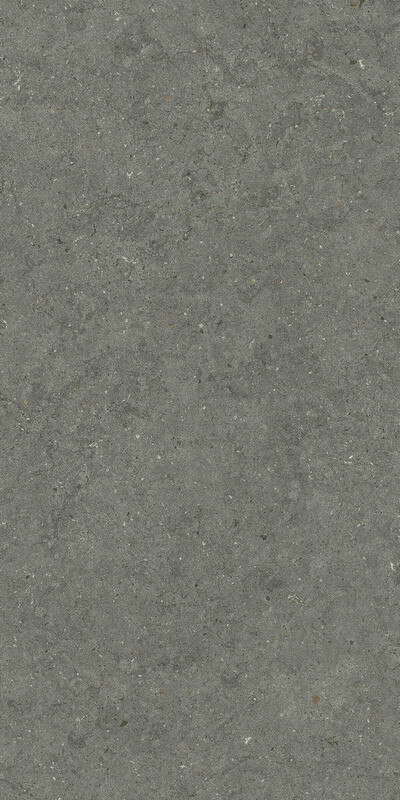 FORUM STONE IRON 60X120