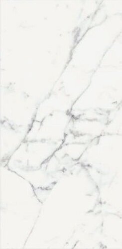 ORIGINES DE REX BLANC MATTETE 60X120 RETT