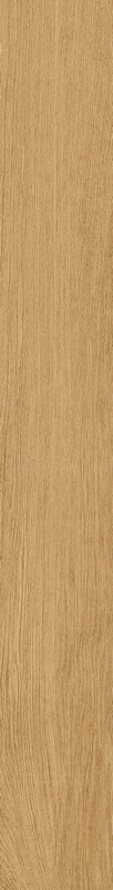 Aura Classic Gold Ret 20х160/Аура Классик Голд Рет 20х160