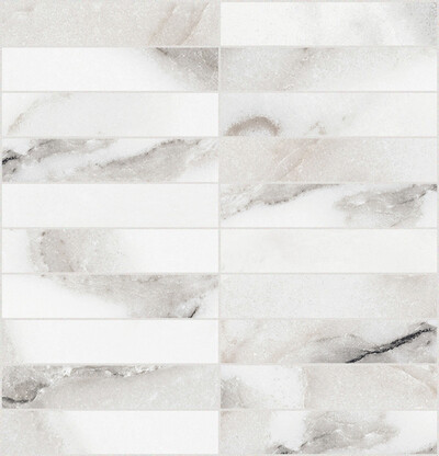 ORIGINES DE REX ARGENT MATTE MOS 3X15