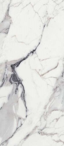 LES ORIGINES DE REX ARGENT MATTE 80X180 RT