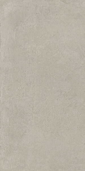 Rinascente Fusion Cenere 60x120/Ринашенте Фьюжн Ченере 60Х120 (610010002986)