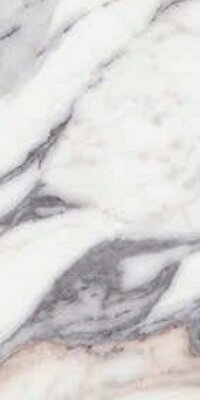 ORIGINES DE REX ARGENT GLOSSY 30x60 RETT