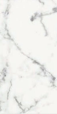 ORIGINES DE REX BLANC GLOSSY 30x60 RETT