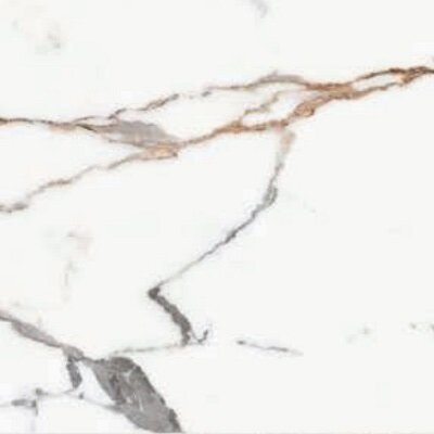 ORIGINES DE REX OR MATTETE 30x60 RETT