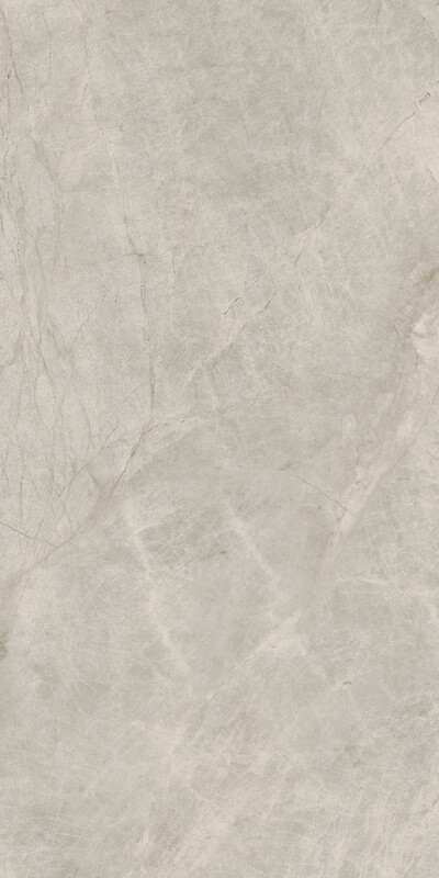 Prima  Silver 60X120 Silk