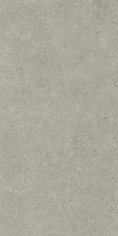 Status Carbon 60X120