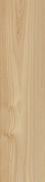 Log Anthology Elm 30x120