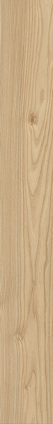 Log Anthology Elm 18,5x150