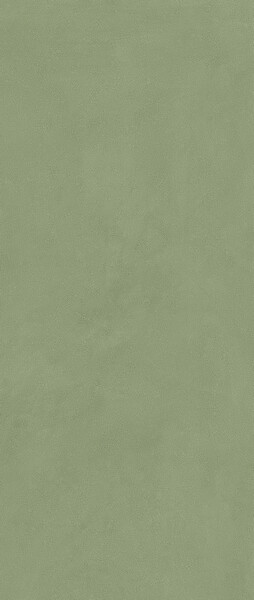 Vivia Crelis Light Green 50x120 Lucido