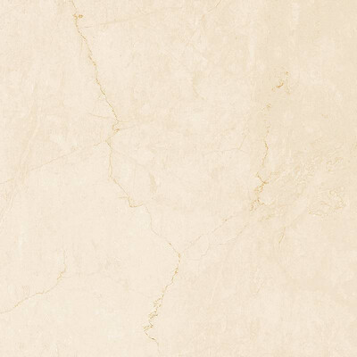 DESERT 60X60 BEIGE MATT R10