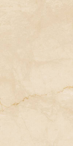 DESERT 60X120 DORATO MATT R11