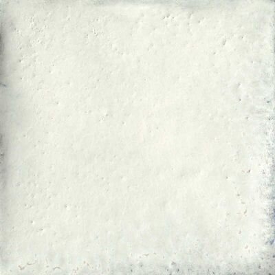 COTTO BIANCO PERLA 20X20
