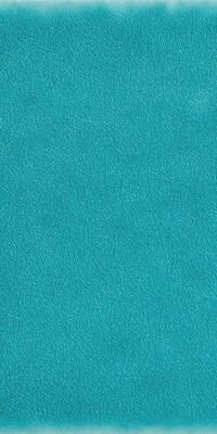 SARDINIA ACQUA 20X40