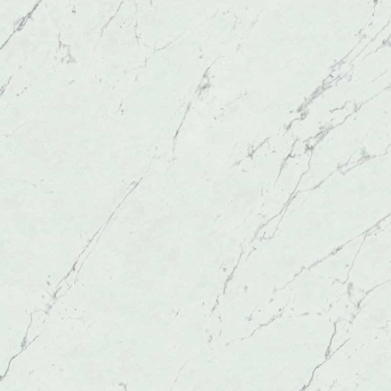 Marvel Carrara Pure 60x60 Lappato