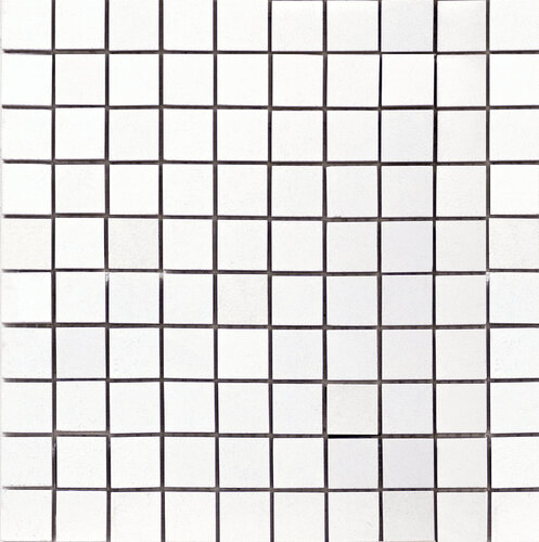 D.DONNA WHITE MOSAIC/30X30