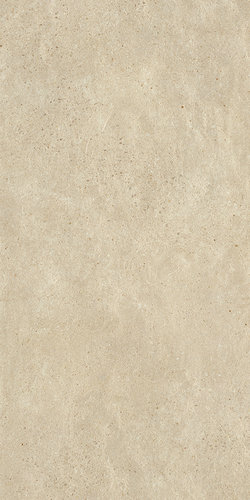 Skyline Ash Ret 60x120