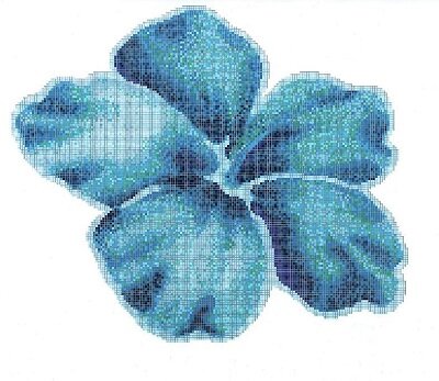 IBISCUS