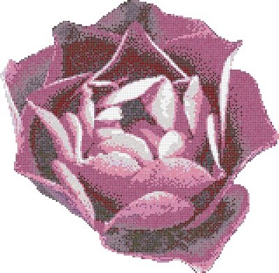 ROSA ROSA