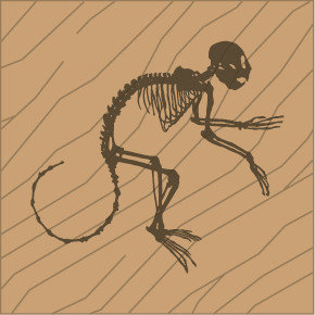 Monkey Laser Naturale (Q)
