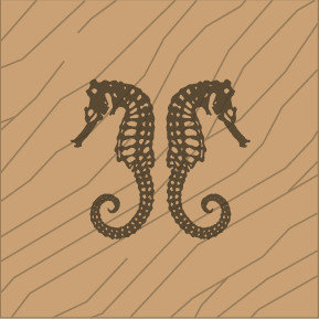 Seahorse Laser Naturale (Q)